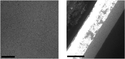 Preparation methods of carbon quantum dots and carbon quantum dot and MOFs (Metal Organic Frameworks) composite thin film and product and application of composite thin film