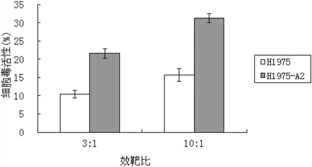 Antigen peptide T790M-7 and application thereof in preparation of drug for treating non-small cell lung cancer