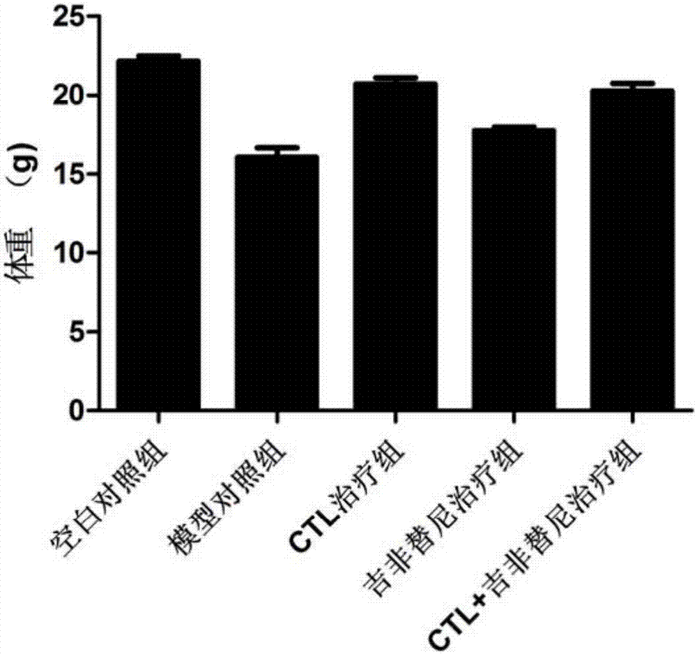 Antigen peptide T790M-7 and application thereof in preparation of drug for treating non-small cell lung cancer