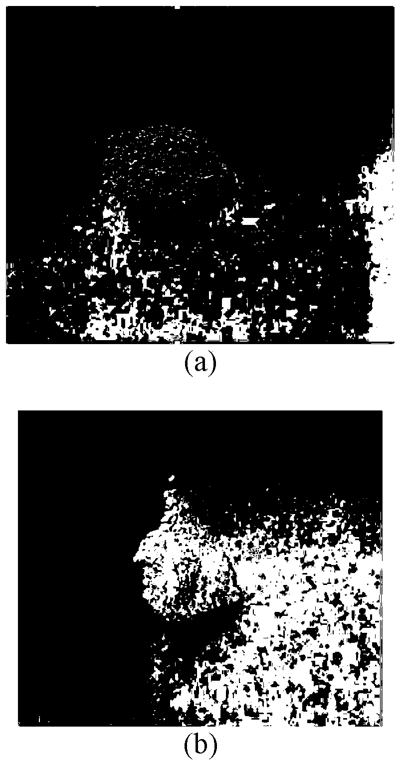 Rare earth doped lithium titanate electrode material and preparation method thereof