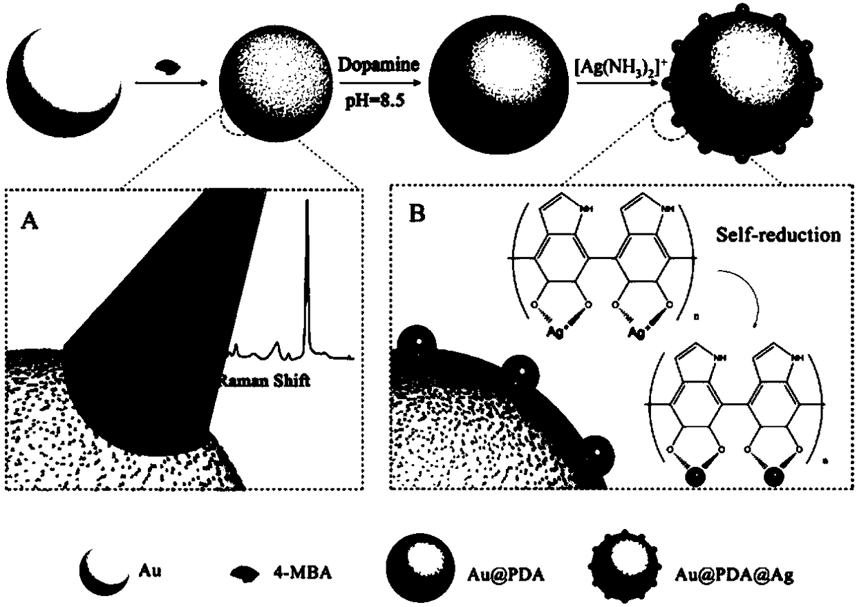 Method for ultrasensitive detection of miRNA based on dual amplification SERS signal system