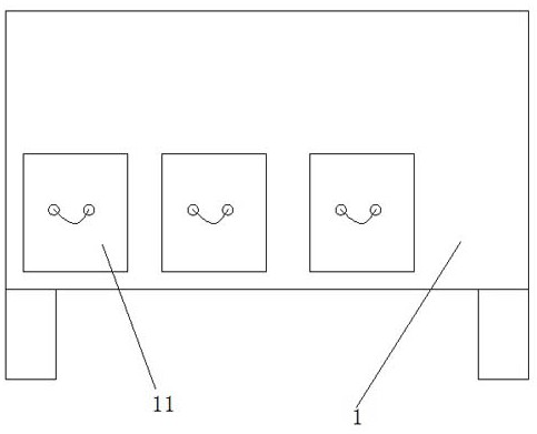 Screening device for areca nut processing