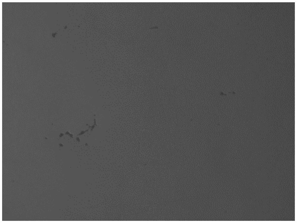 7-series aluminum alloy cast ingot for large-specification die forging and control method for hydrogen content of 7-series aluminum alloy cast ingot