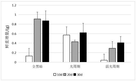 Dark energy-saving in-vitro propagation method for micro tubers of polygonatum cyrtonema