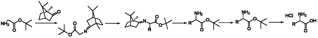 Method for preparing chiral alpha-alkyl substituted glycine hydrochloride