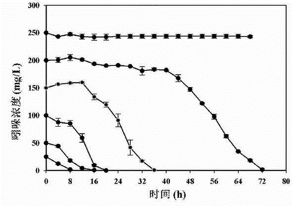 Cupriavidus sp. IDO capable of aerobic degrading indole and application thereof