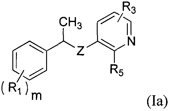 Novel tyrosine protein kinase inhibitor