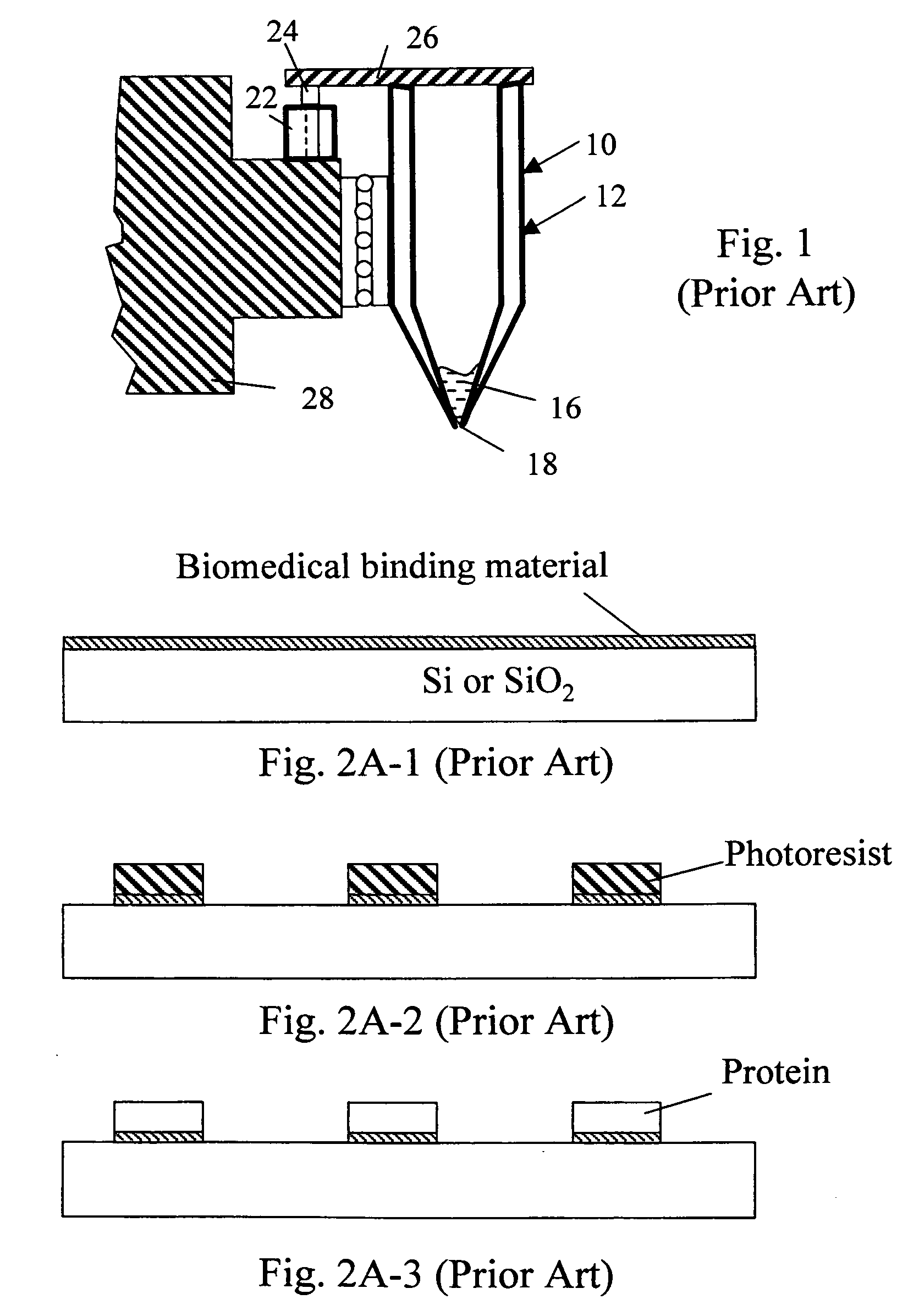 Micro-fabricated stamp array for depositing biologic diagnostic testing samples on bio-bindable surface