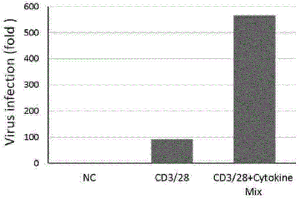 Construction method of chimeric antigen receptor double-negative T cell