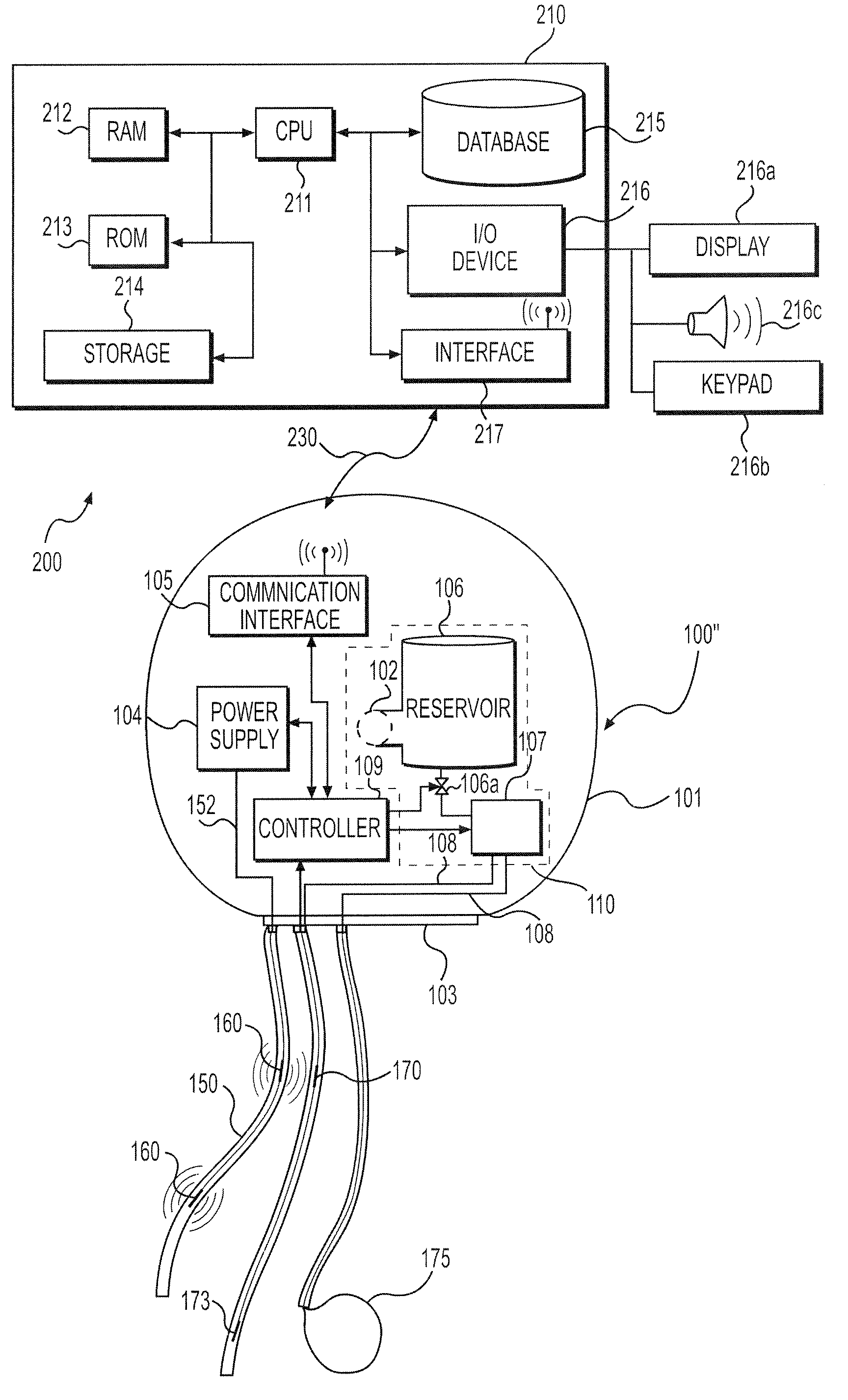 Systems and methods for promoting nerve recognition