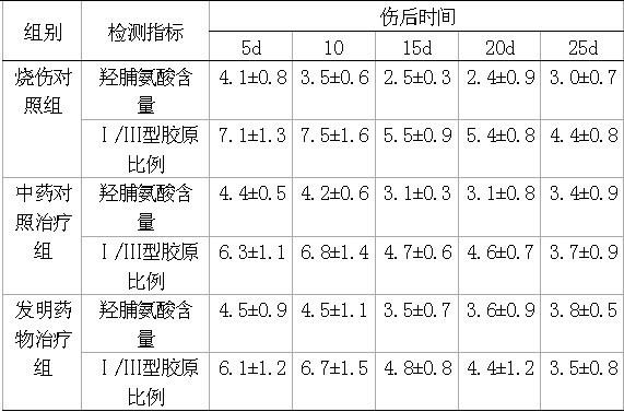 Chinese medicinal composition for promoting fast recovery of burn