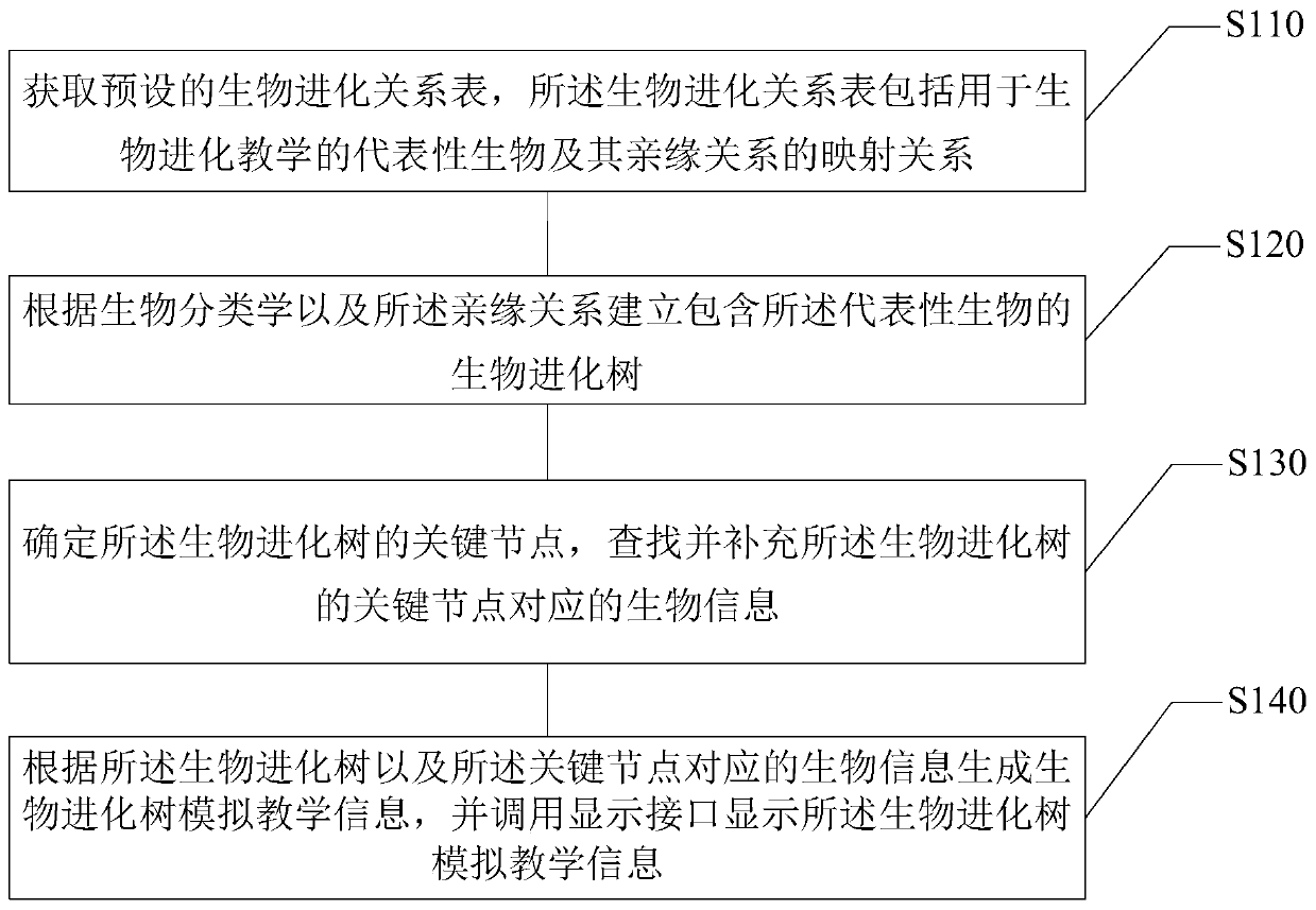 Simulation biology teaching method and device based on evolutionary tree