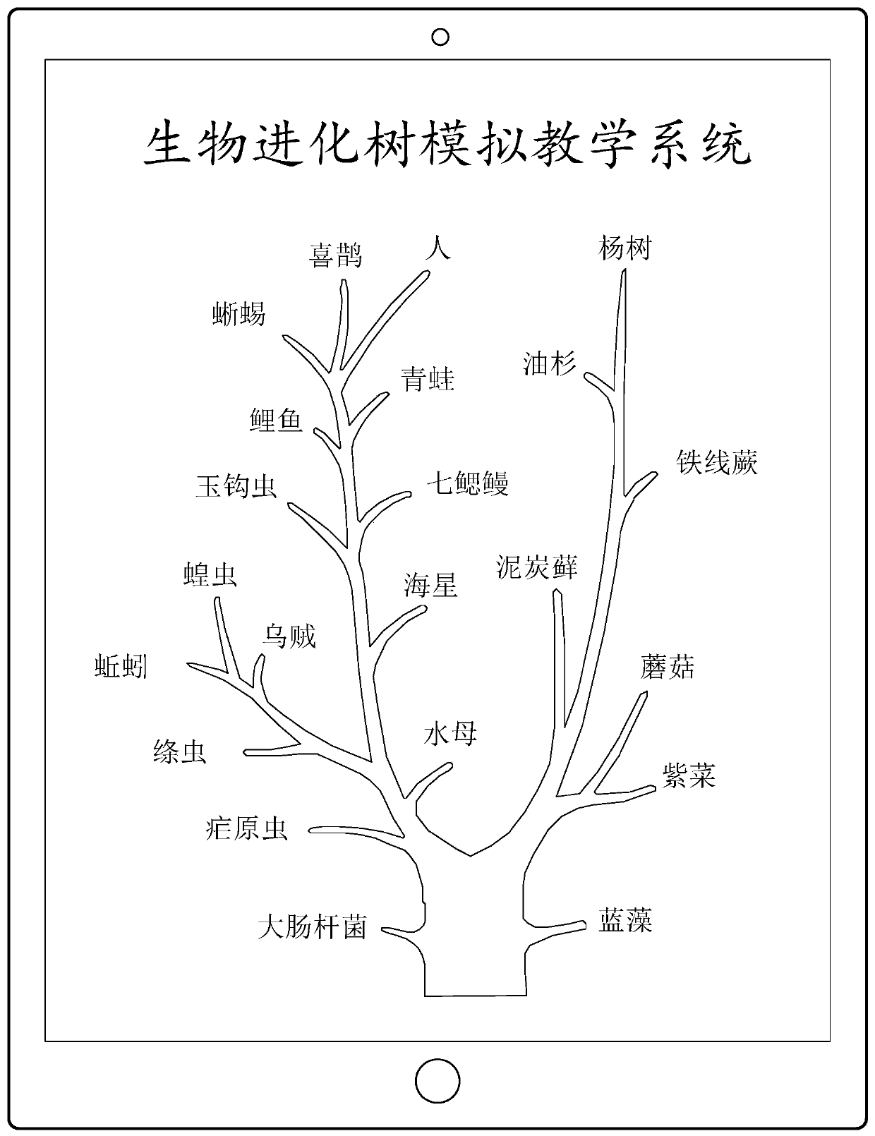 Simulation biology teaching method and device based on evolutionary tree