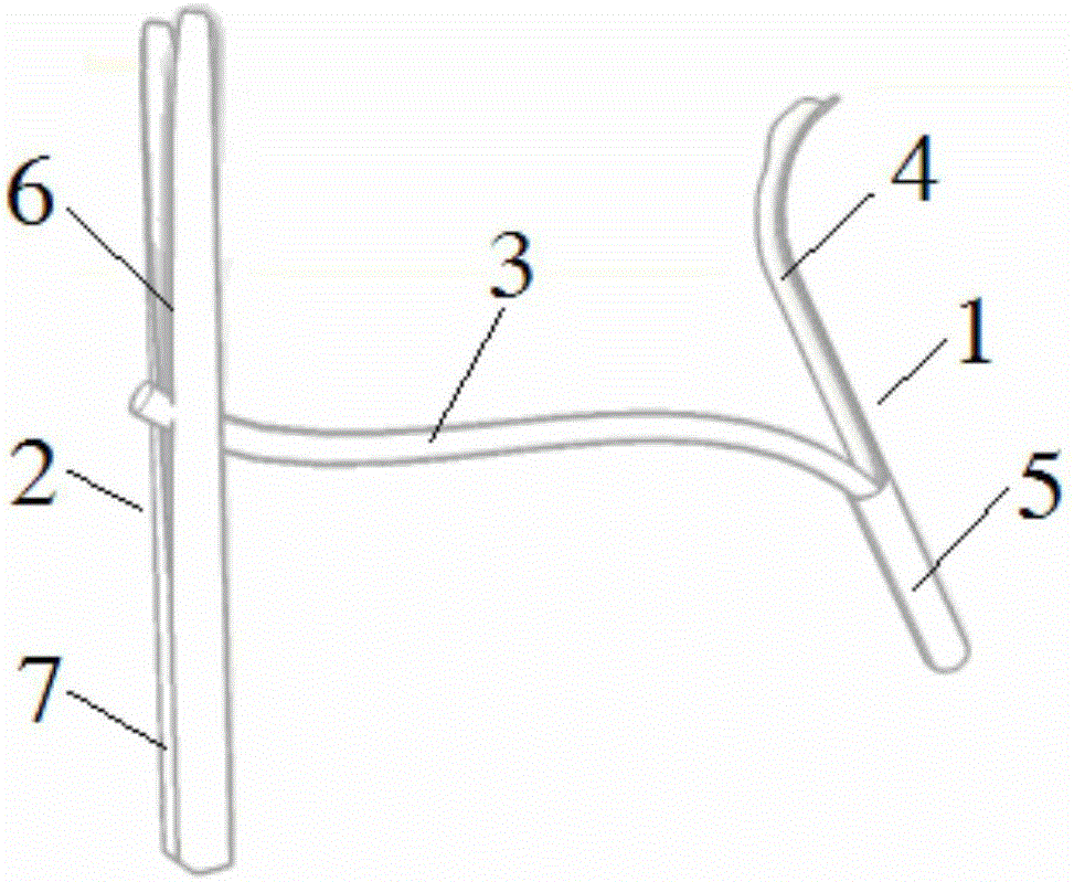 Anchor for lifting prostate tissue