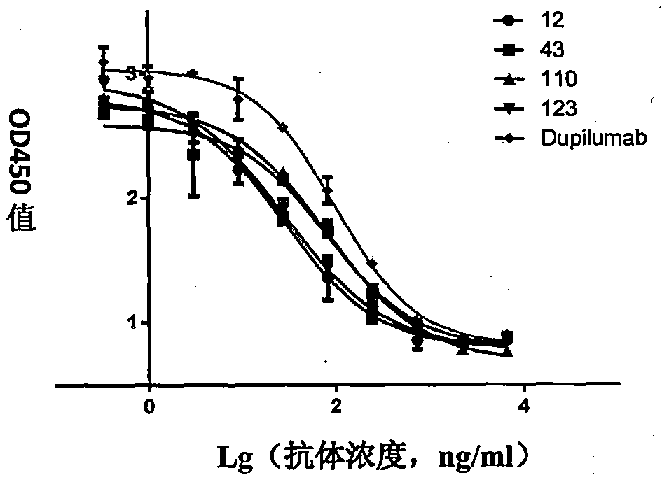 Anti-human interleukin-4 receptor alpha monoclonal antibody, preparation method and applications thereof