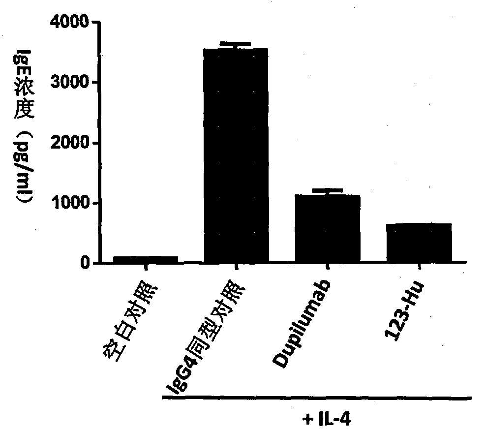 Anti-human interleukin-4 receptor alpha monoclonal antibody, preparation method and applications thereof