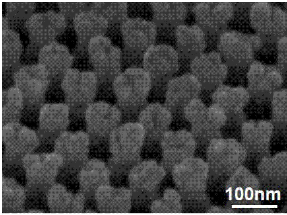 Silver-gold porous nanorod array, preparation method and purpose of silver-gold porous nanorod array