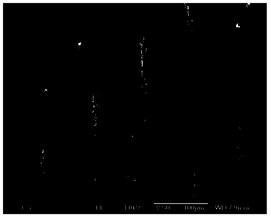 Method for preparing cathode of lithium ion battery with lithium-silicon film through pulse electrodeposition