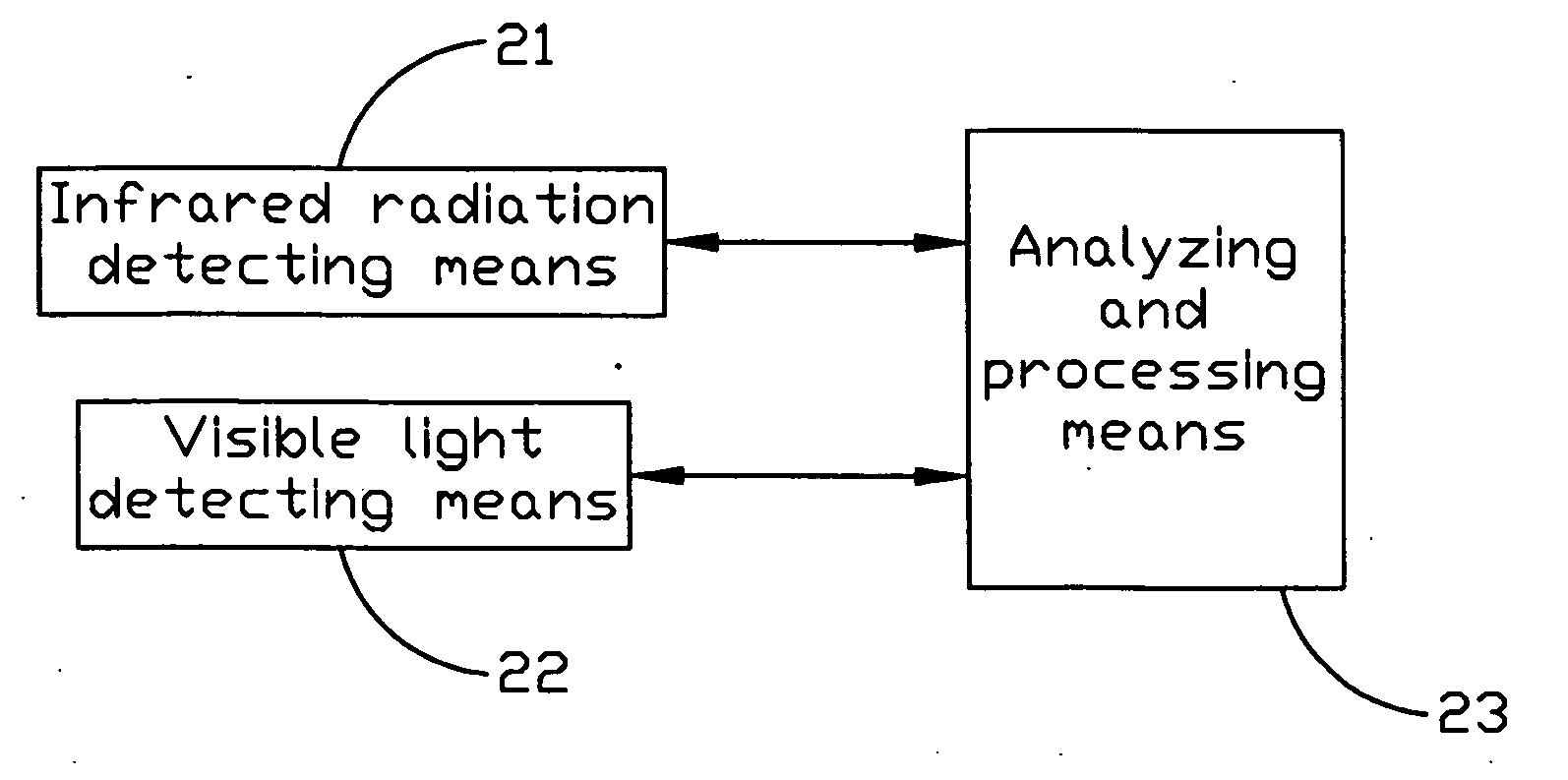 Thermometer with image display