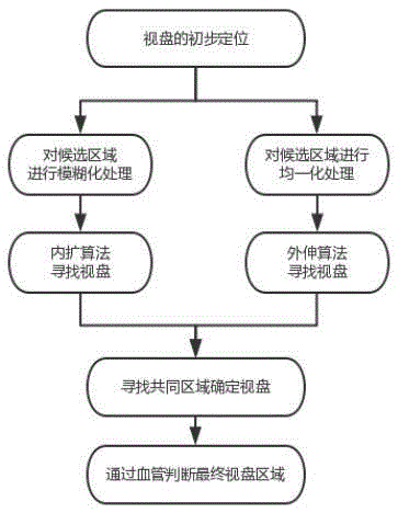 Eye ground picture and image intelligent obtaining and recognizing system