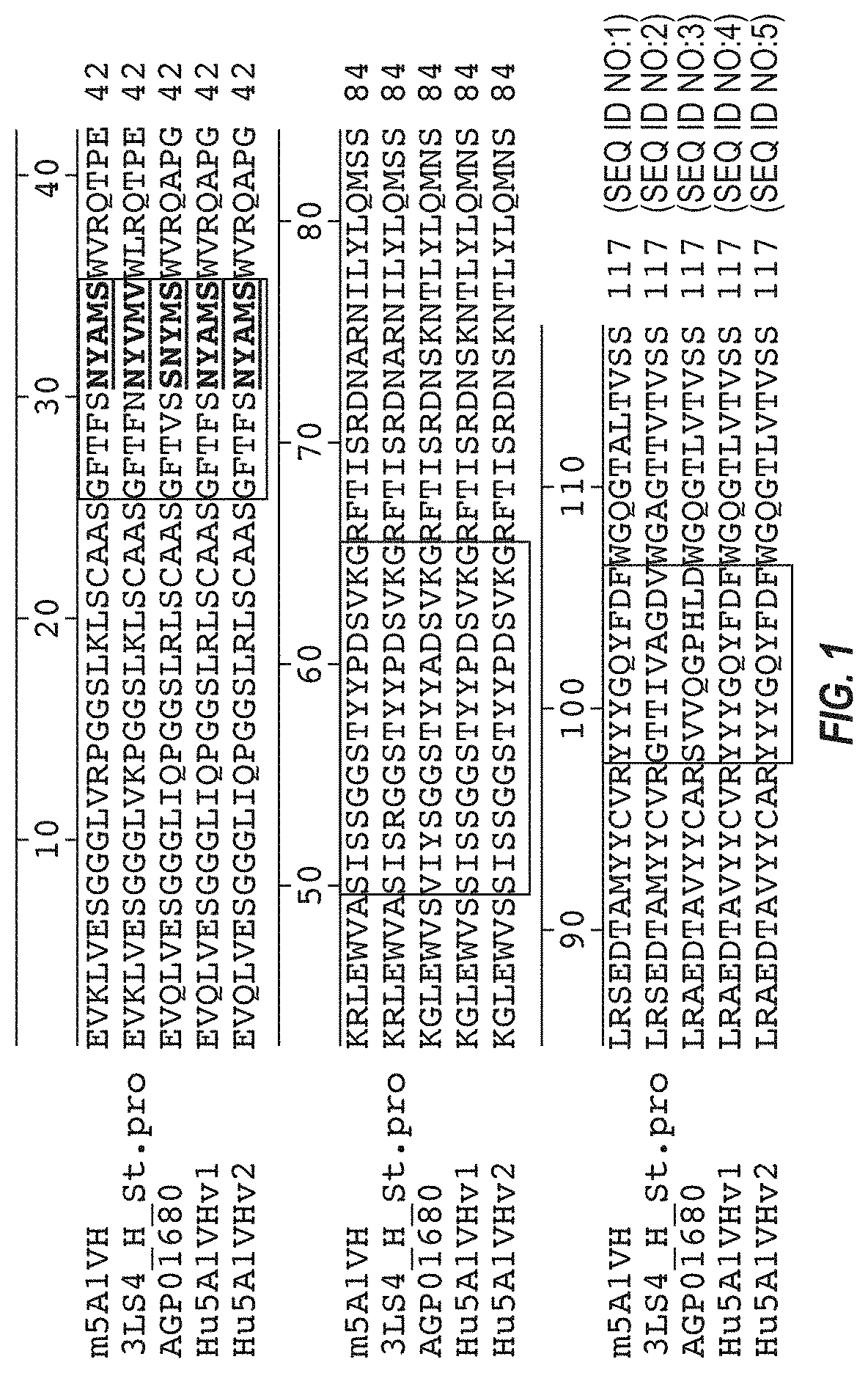 Anti-transthyretin antibodies