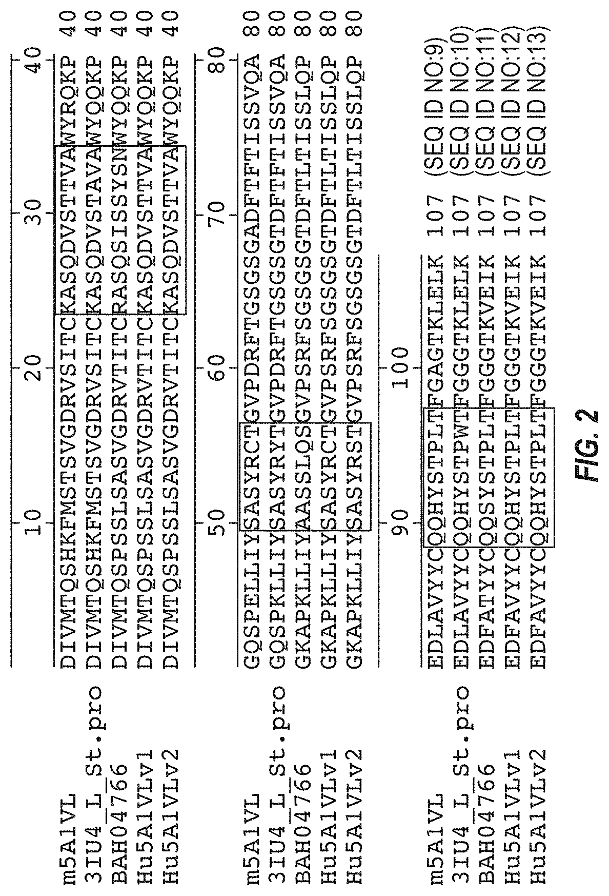 Anti-transthyretin antibodies