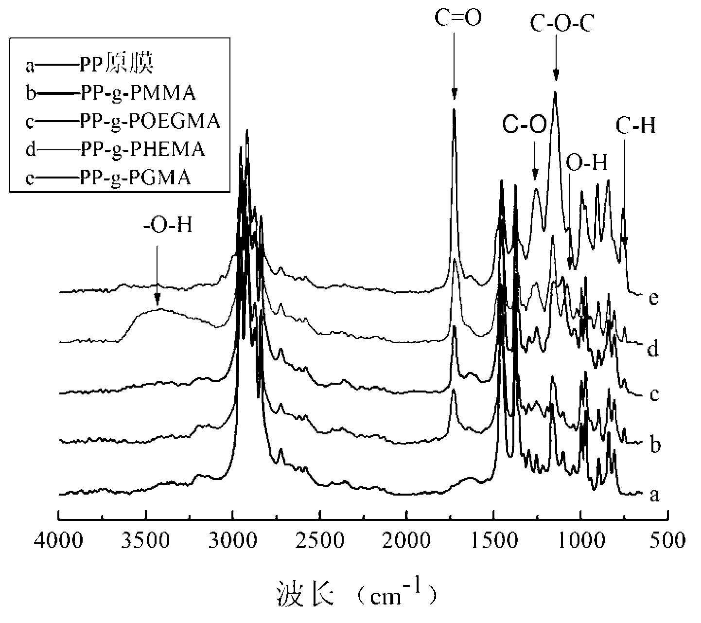 Polypropylene modified functional film and preparation method thereof