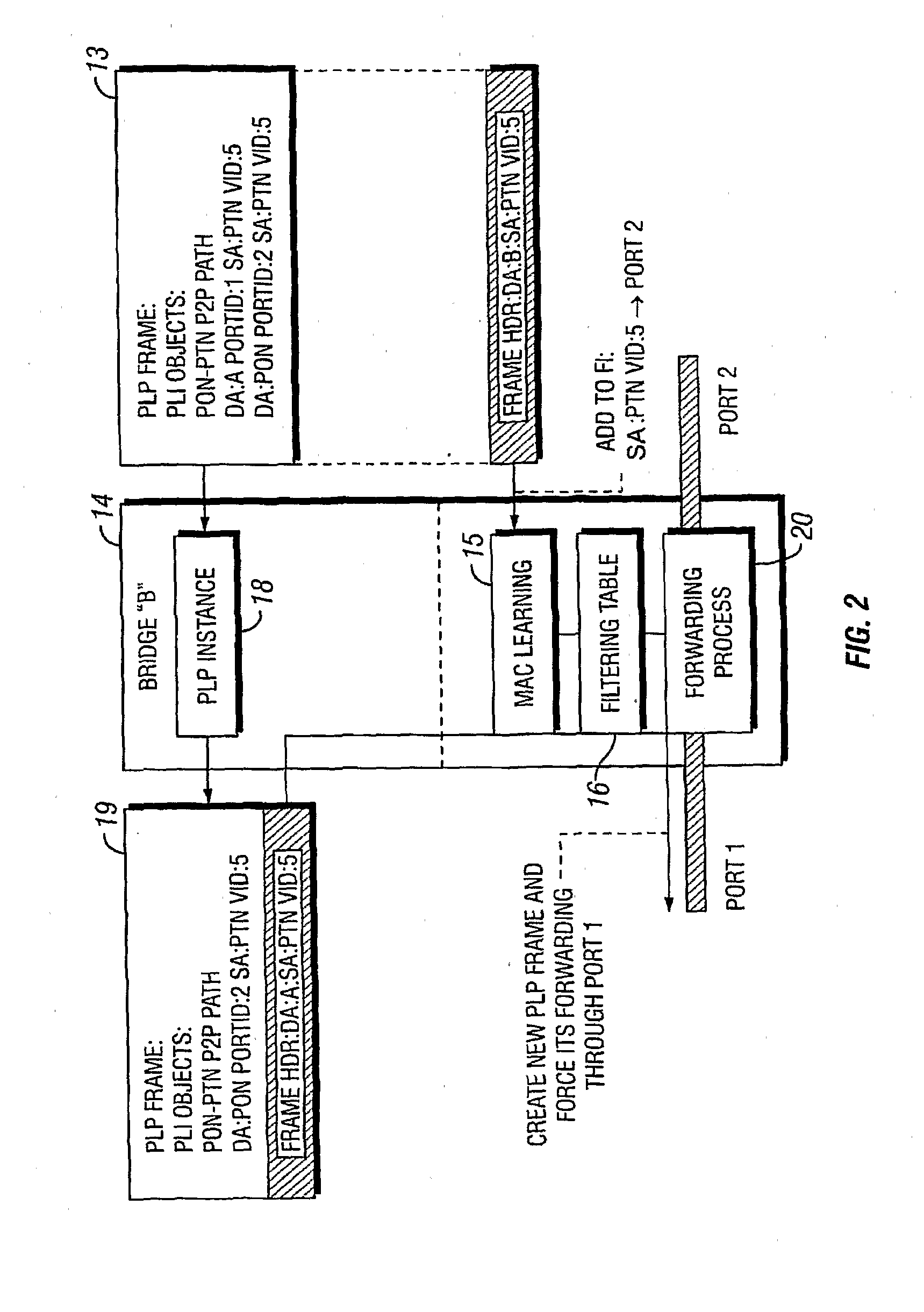 Forced medium access control (MAC) learning in bridged ethernet networks