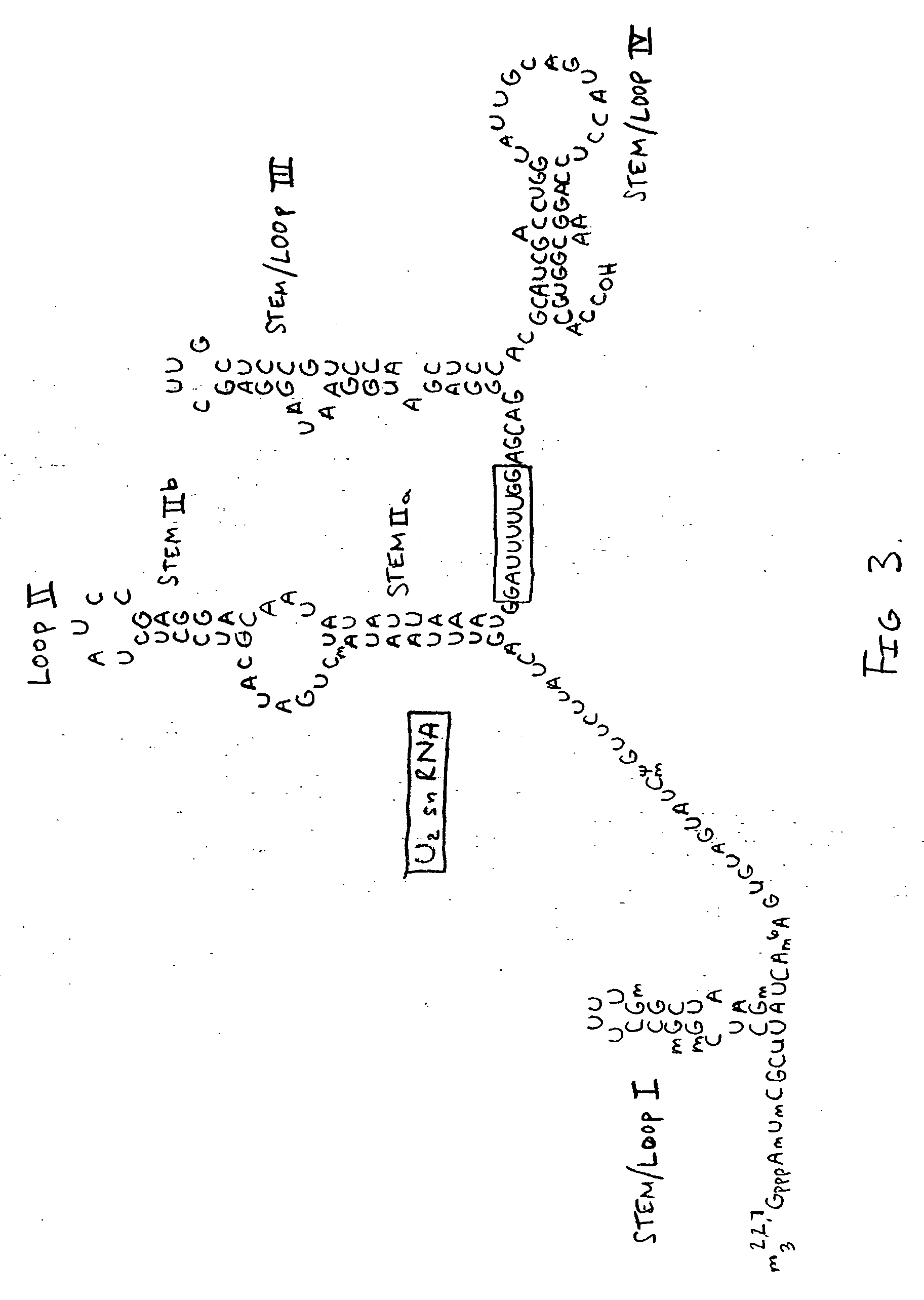 Methods and compositions for detecting cancer using components of the U2 spliceosomal particle