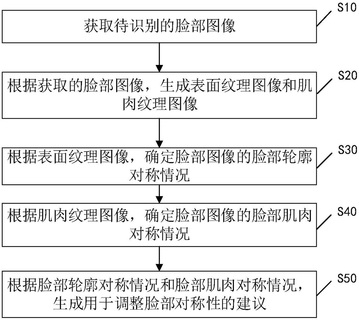 Method and apparatus for face symmetry recognition, storage medium, and terminal equipment