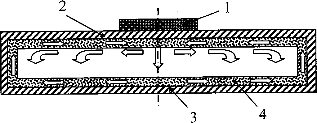 Magnetofluid flat plate hot pipe soaking device