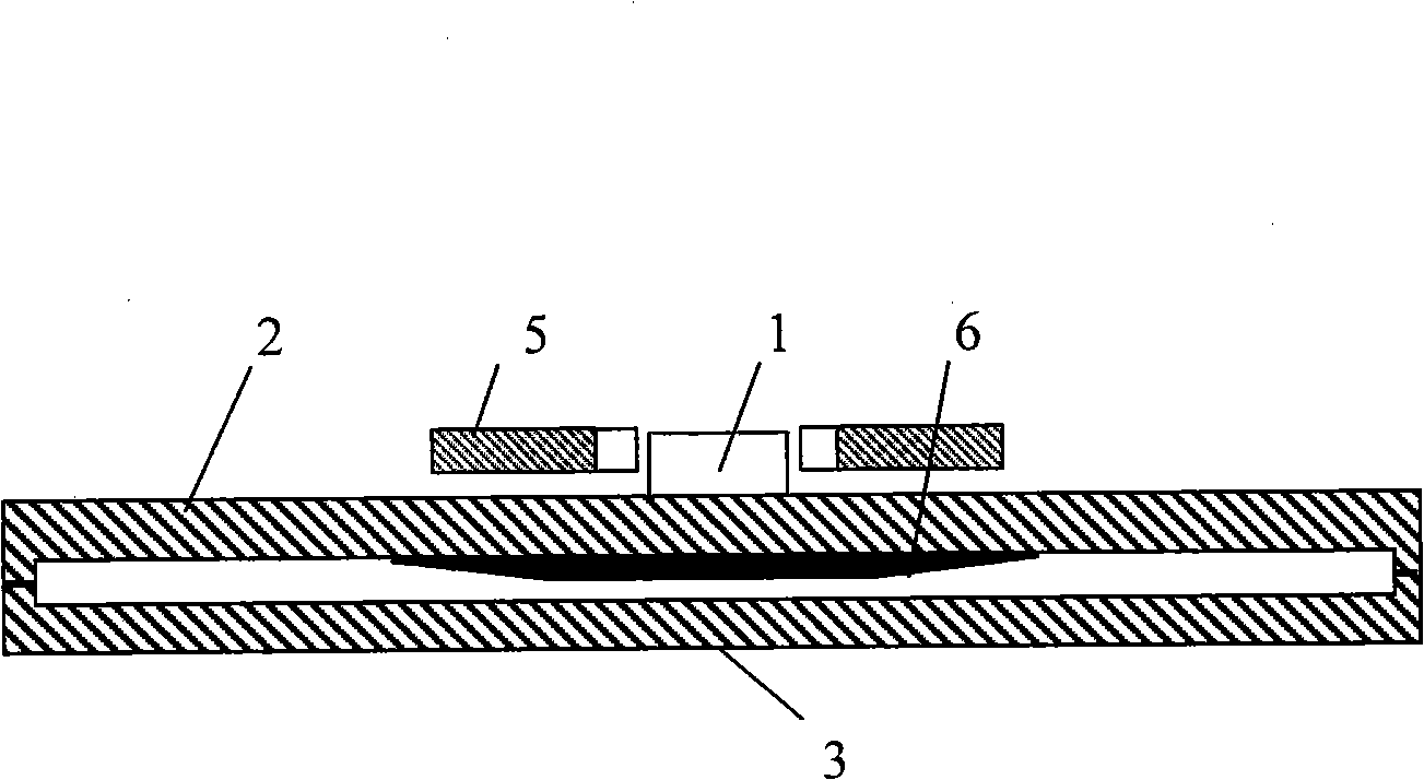 Magnetofluid flat plate hot pipe soaking device