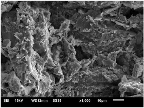 Composite cementing material with double efficacies for curing and improving salted silt soil