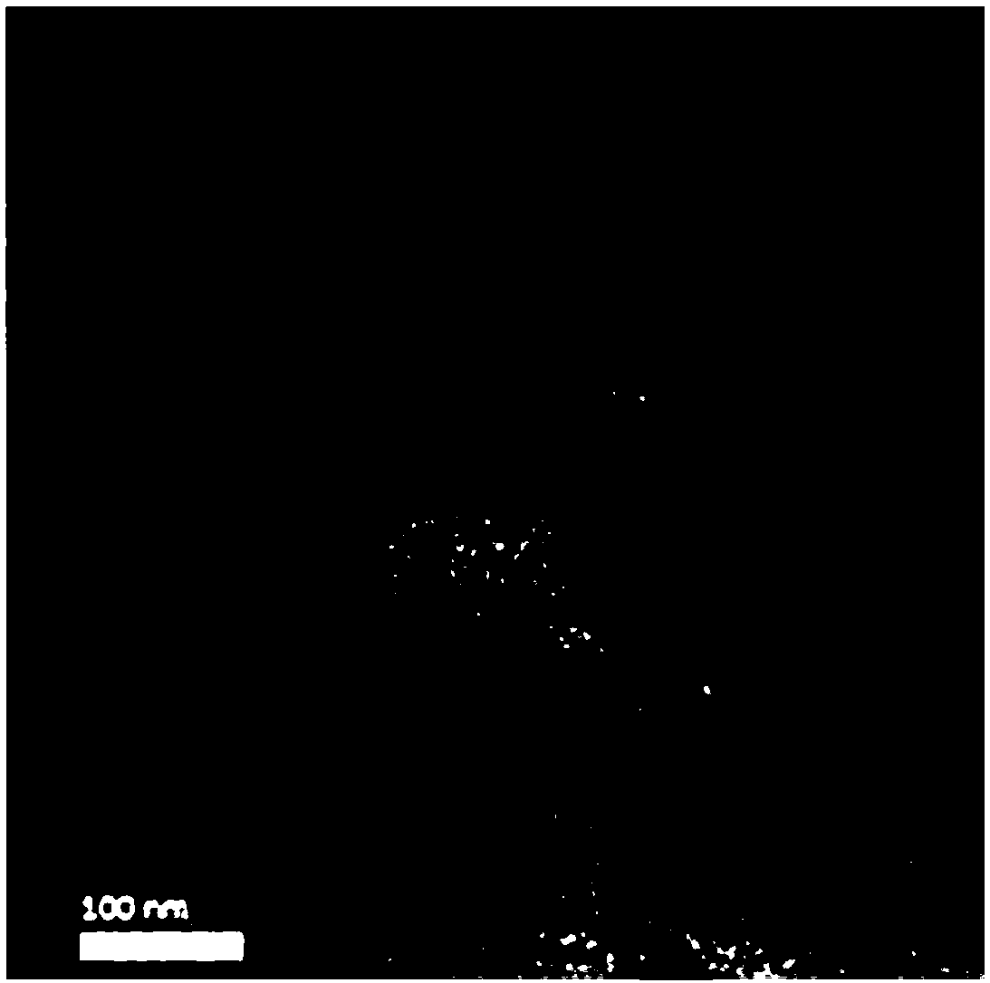 Double-drug loaded nanoparticle and preparation method and application thereof