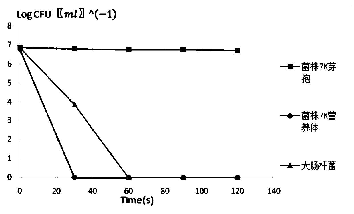 A kind of Bacillus subtilis 7k and its application