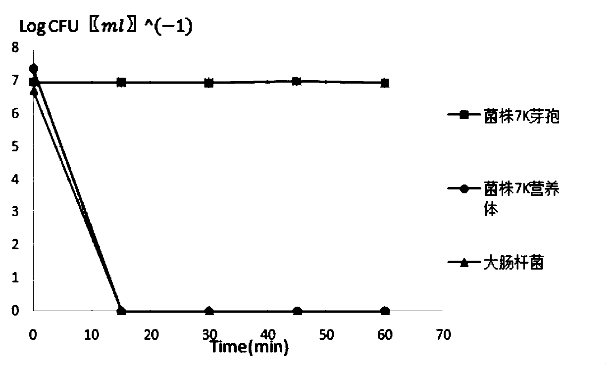 A kind of Bacillus subtilis 7k and its application