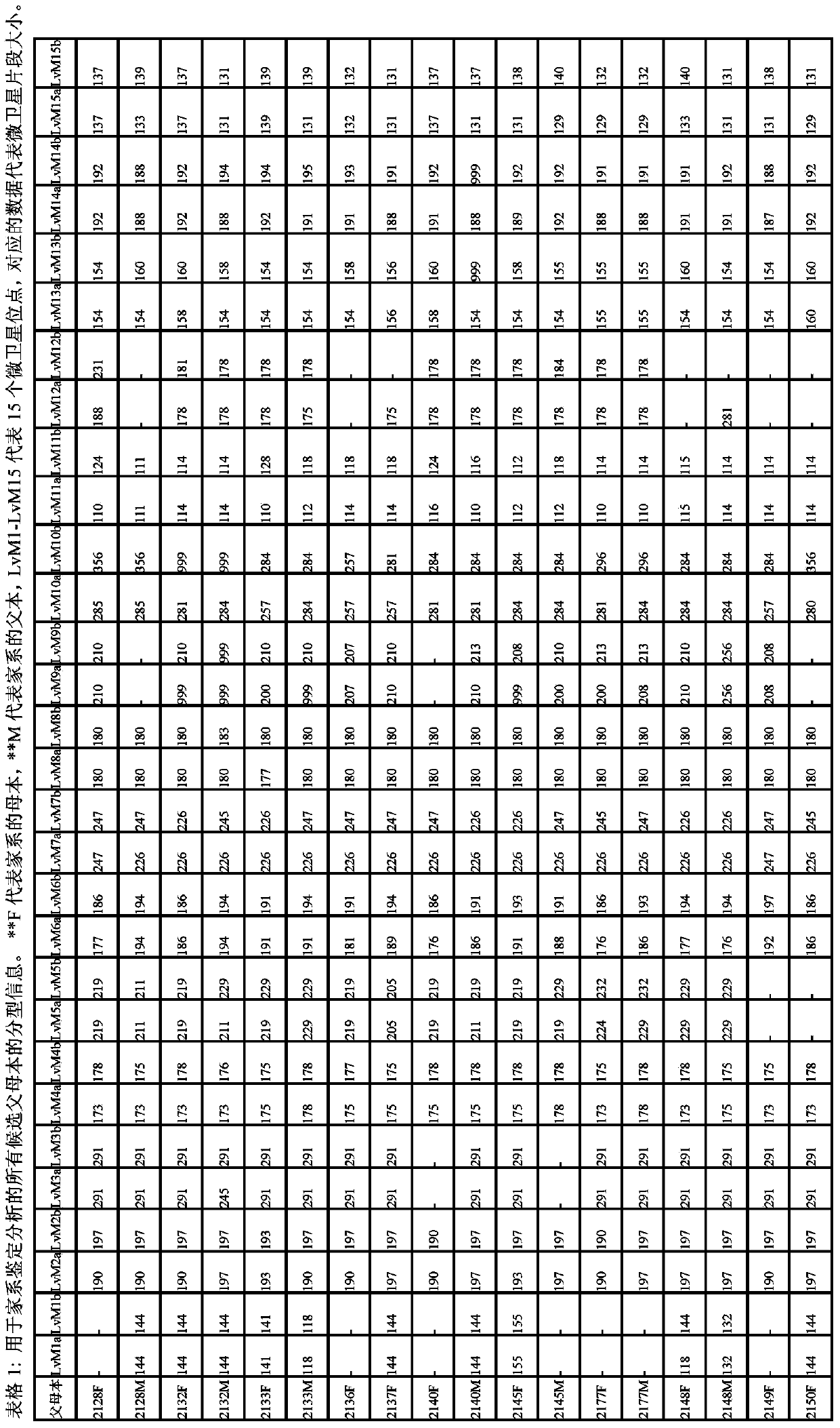 Multiple microsatellite identification system for carrying out litopenaeus vannamei family identification, and application thereof