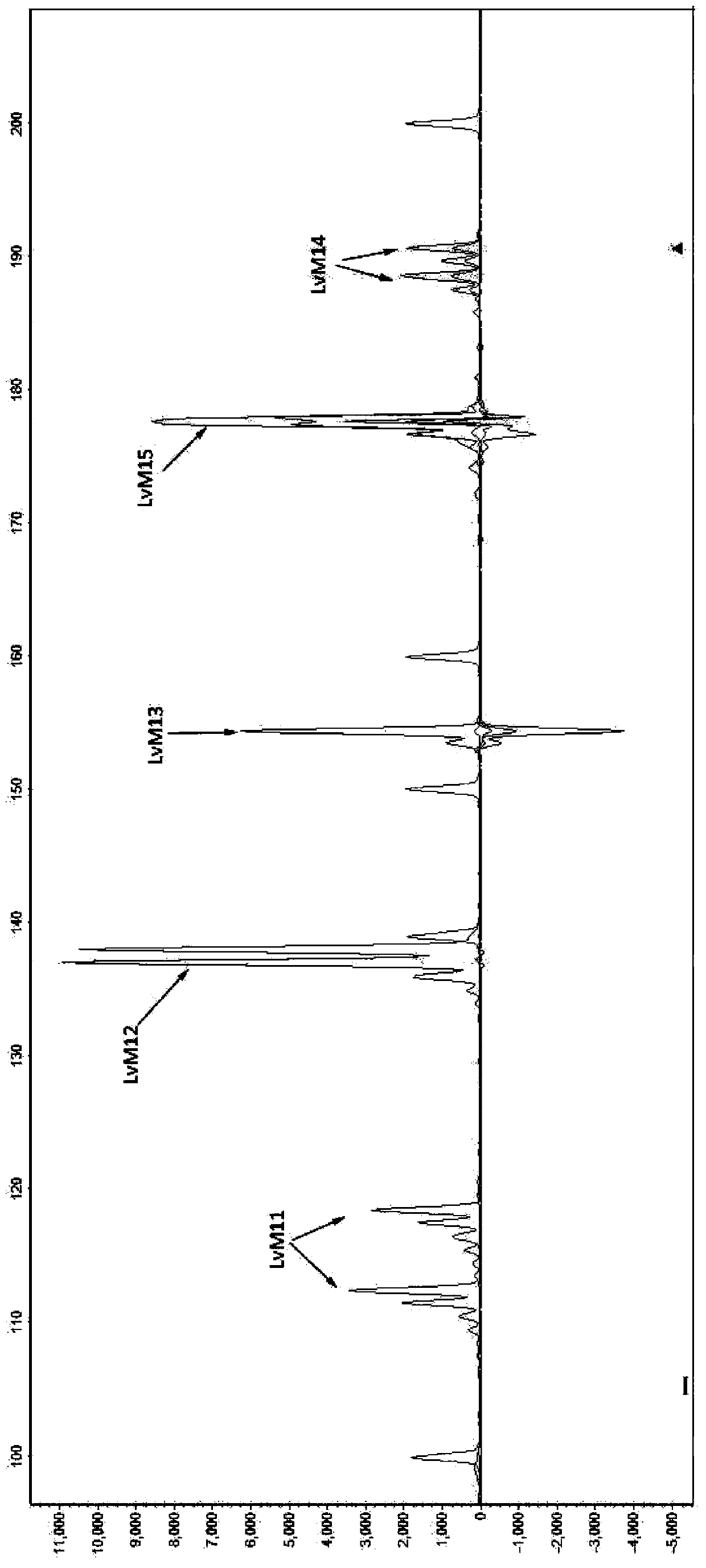 Multiple microsatellite identification system for carrying out litopenaeus vannamei family identification, and application thereof