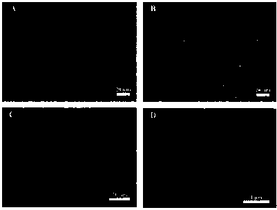 A scaffold material with gradient activity for osteochondral interface repair and its preparation method and application