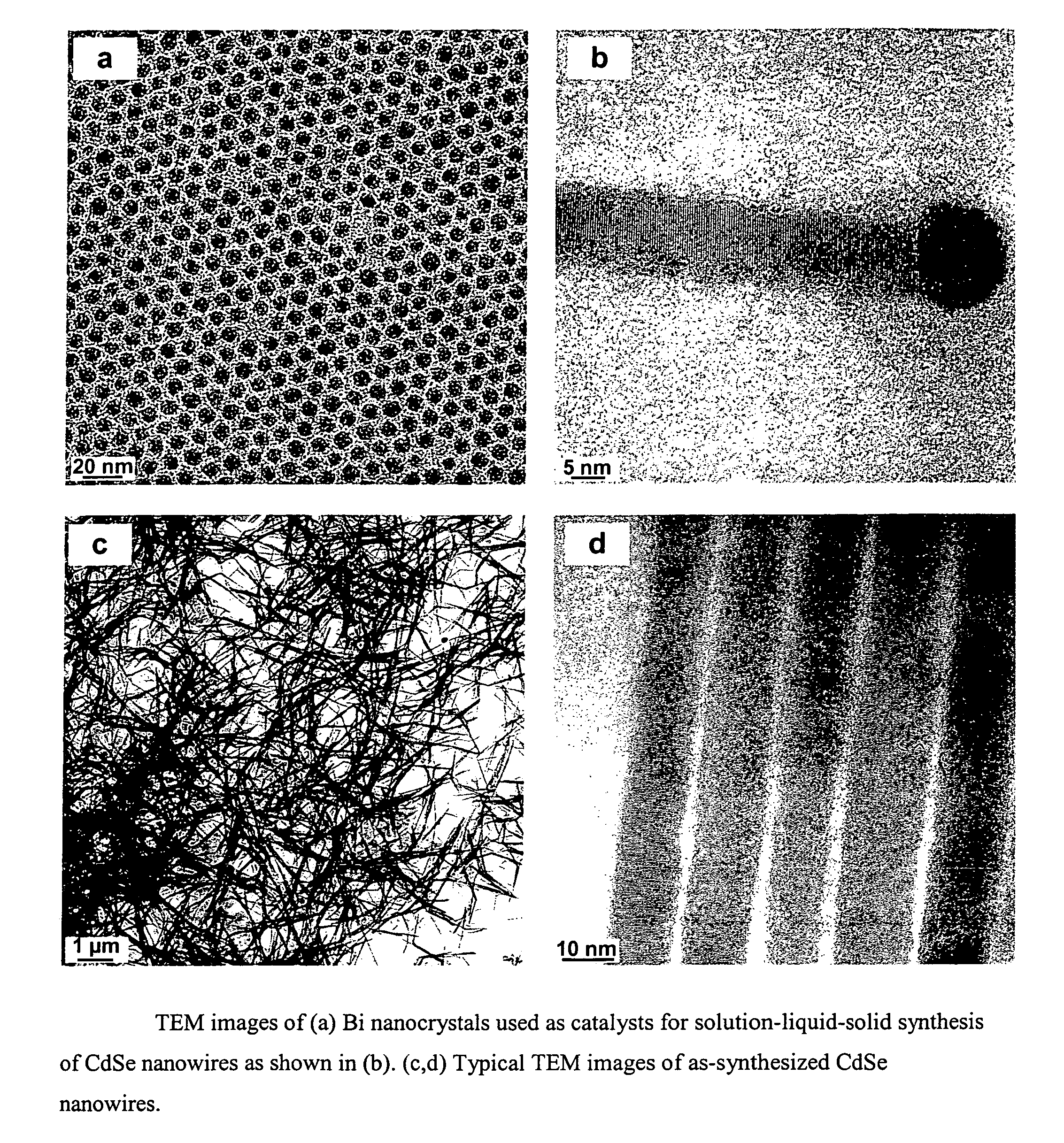 Method for fabricating an inorganic nanocomposite