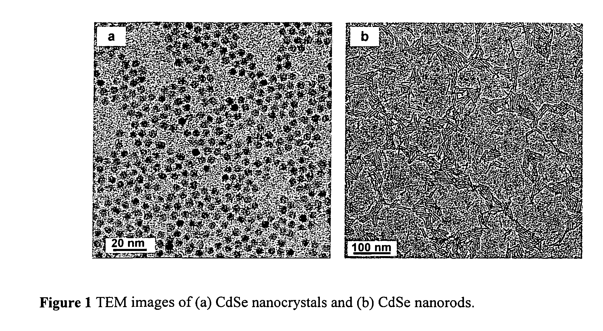 Method for fabricating an inorganic nanocomposite