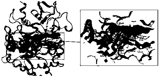 Method for screening chitinase OfChtI inhibitor