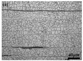 A kind of high ductility magnesium alloy and preparation method thereof