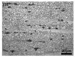 A kind of high ductility magnesium alloy and preparation method thereof