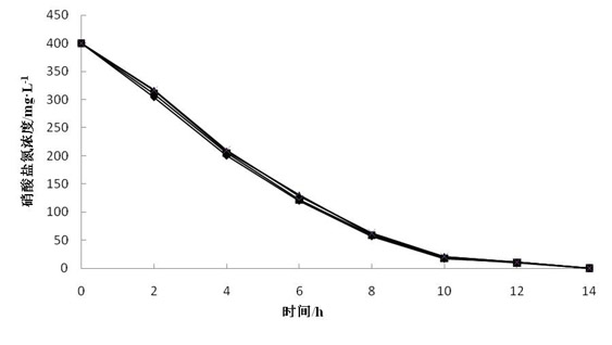 Application of immobilized quinone compound in accelerating denitrification process of microorganism