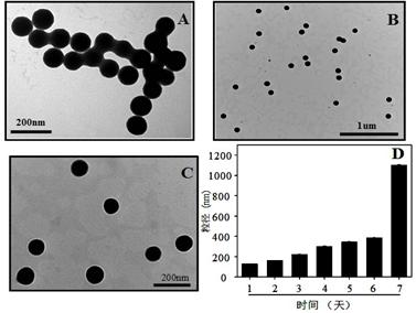 Application of nano-selenium in antineoplastic drug carrier