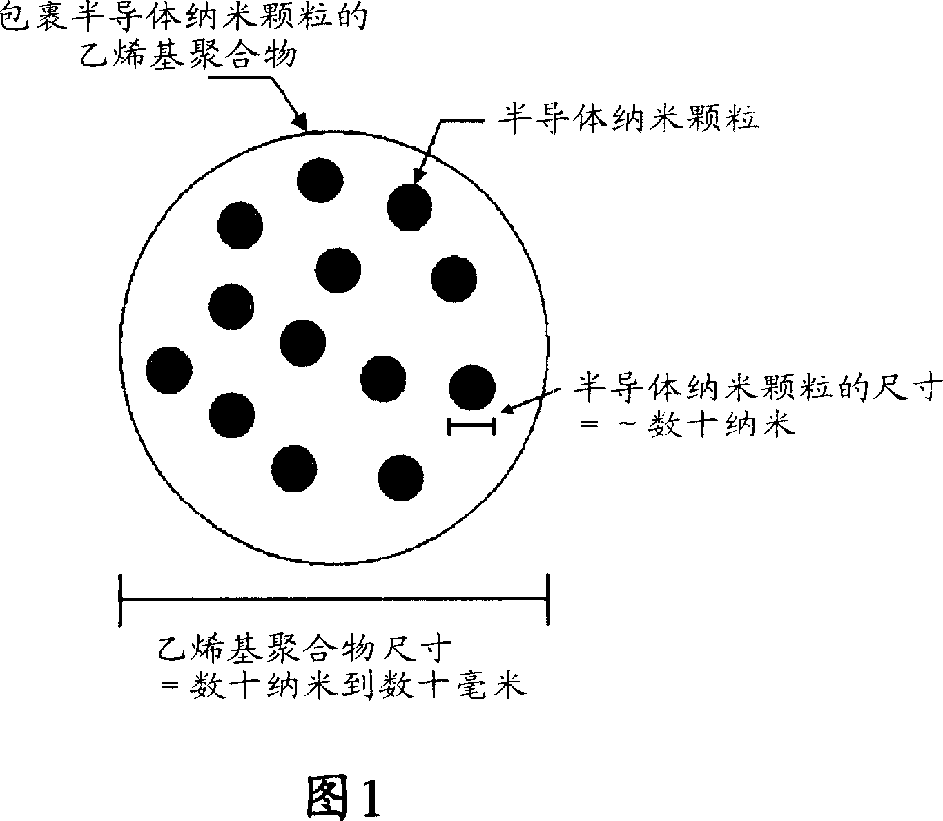 Semiconductor nanoparticle-encapsulating vinyl polymer, vinyl polymer mixture includingthe same, and process of preparing the same