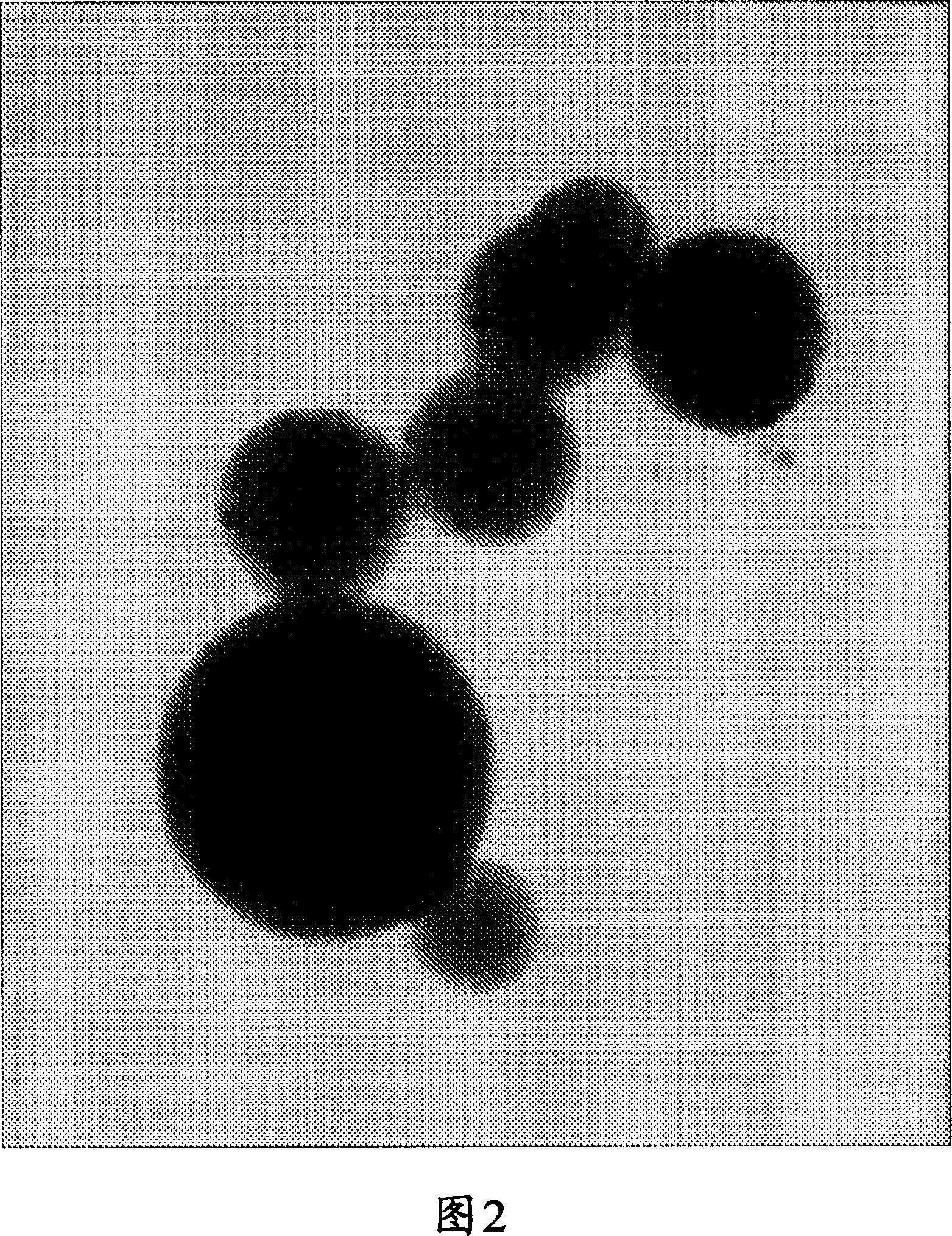 Semiconductor nanoparticle-encapsulating vinyl polymer, vinyl polymer mixture includingthe same, and process of preparing the same