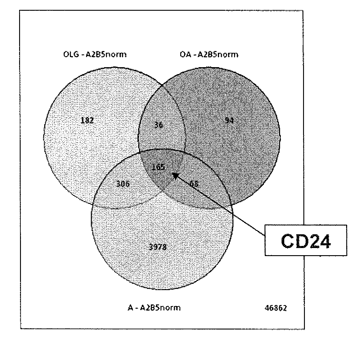 Cd24 as a brain tumor stem cell marker and a diagnostic and therapeutic target in primary neural and glial tumors of the brain