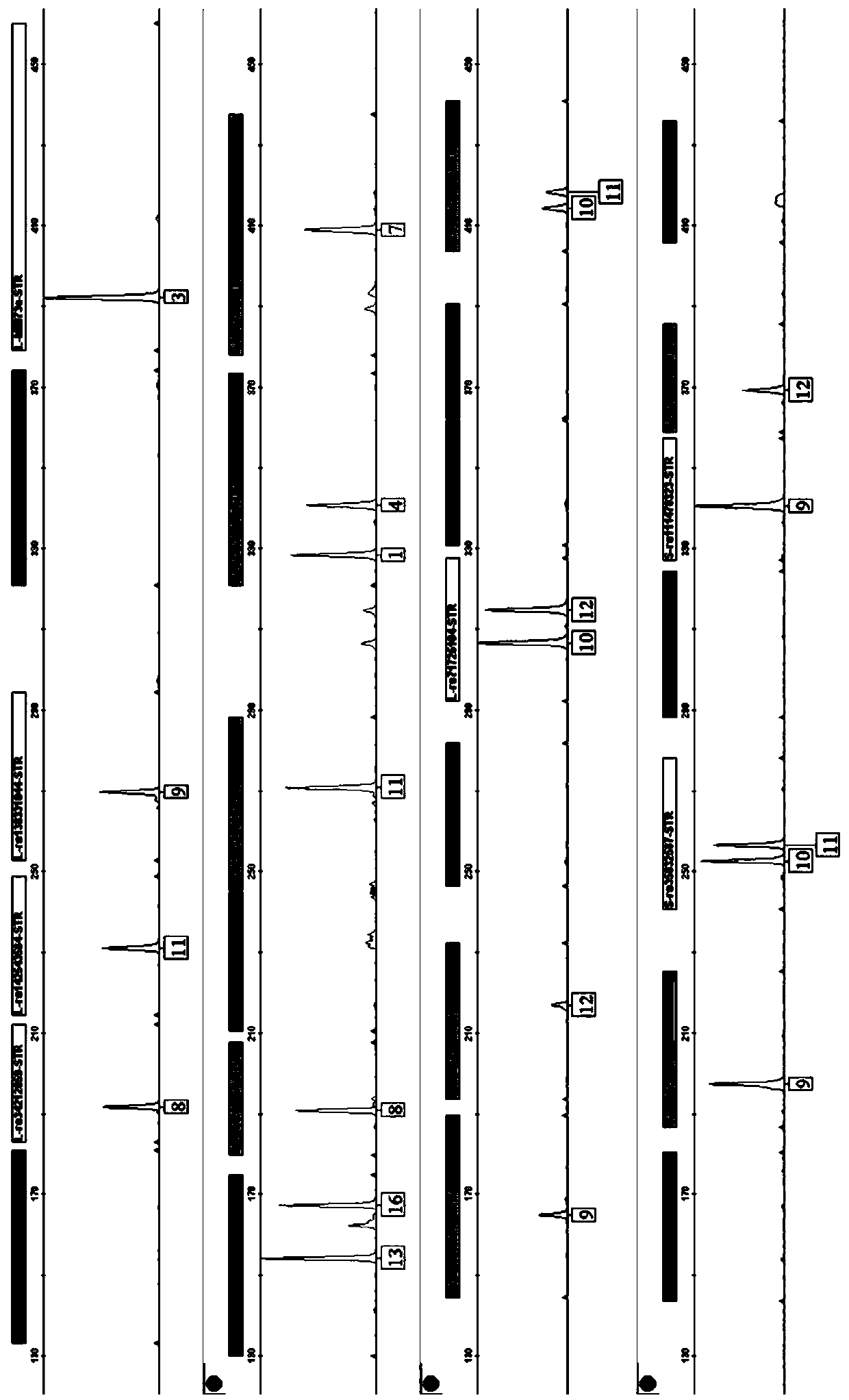 Method and system for obtaining DIP-STR (Deletion/Insertion Polymorphism-Short Tandem Repeat polymorphism) gene locus typing result of DNA (deoxyribonucleic acid) of unknown individual source in mixed spot